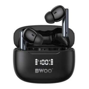 ANC In-ear Wireless Earbuds with Digital Display BT V5.3