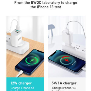 BWOO 12W FAST CHARGER (CDA-65L)