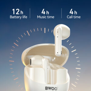 BWOO TRUE STERIO WIRELESS EARBUDS (BW-98)