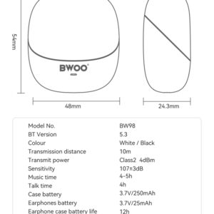 BWOO TRUE STERIO WIRELESS EARBUDS (BW-98)