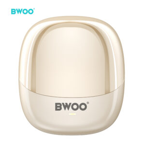 BWOO TRUE STERIO WIRELESS EARBUDS (BW-98)