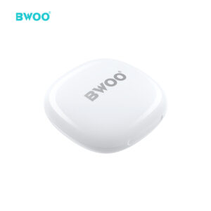 BWOO WIRELESS EARPHONE (BW06)